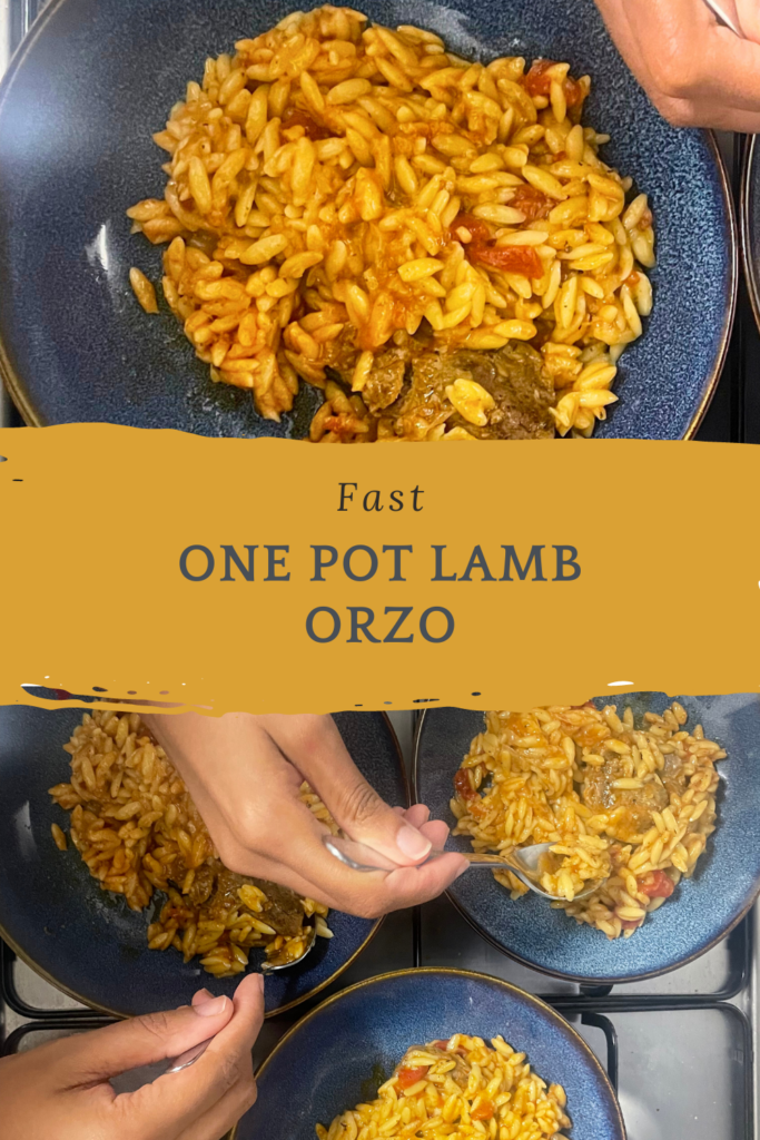 Pinterest graphic One Pot lamb orzo